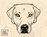 Labrador Retriever Clipart