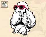 Poodle SVG