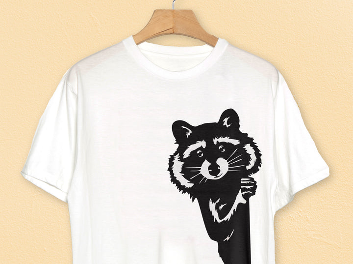 Racoon PNG