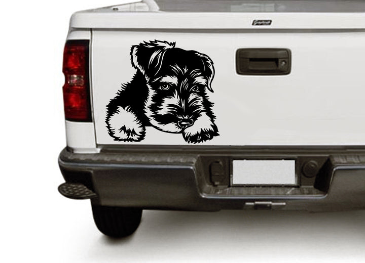 Miniature Schnauzer DXF