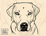 Labrador Retriever Vector