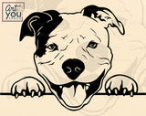 Pit Bull Vector
