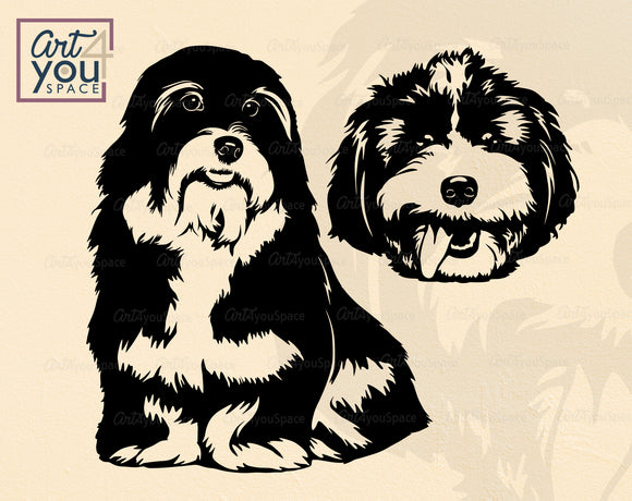 Havanese SVG