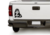 Havanese PNG