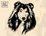 Shetland Sheepdog PNG
