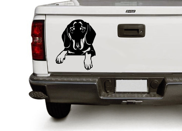 Doxie Cricut