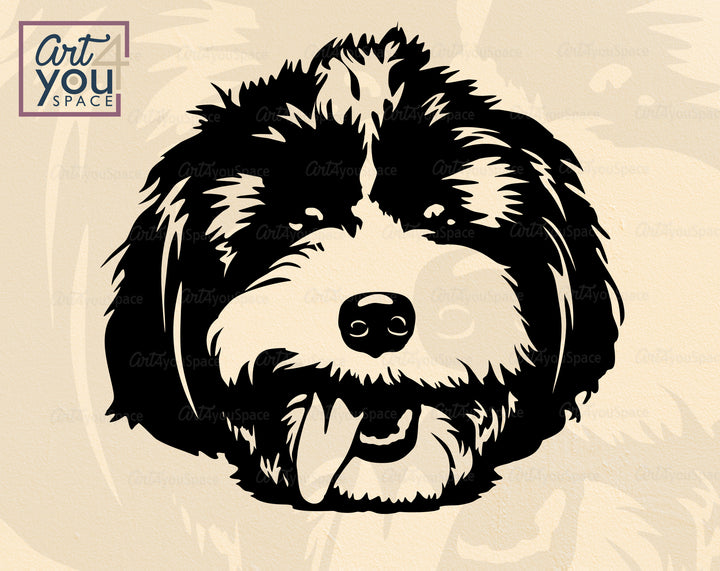 Havanese Art