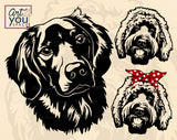 Golden Doodle  SVG