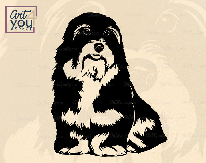 Havanese Clipart