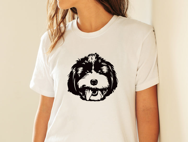 Havanese Vector