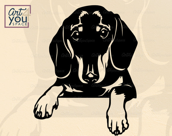 Doxie SVG