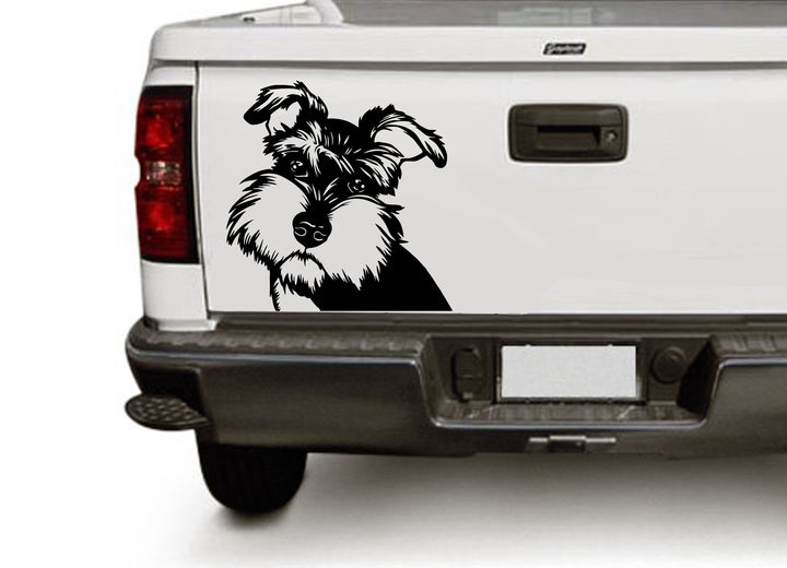 Miniature Schnauzer Clipart