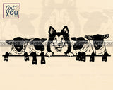 Sheepdog Sheep SVG