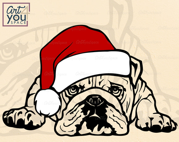 Christmas American Bulldog