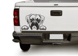 Boxer DXF