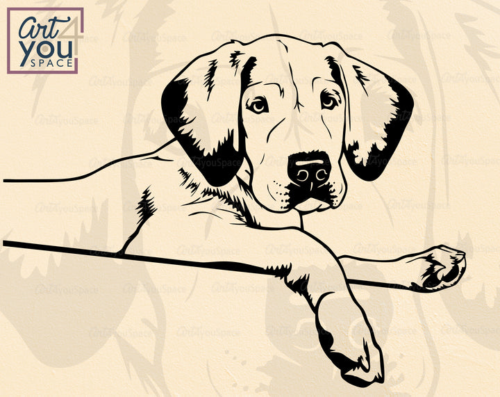 Labrador Vector