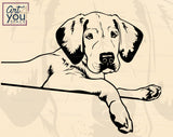 Labrador Vector