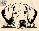 Labrador Retriever Cricut