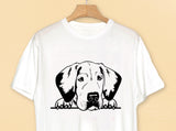 Labrador Retriever Vector