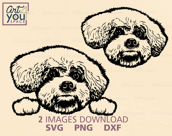 Bichon SVG