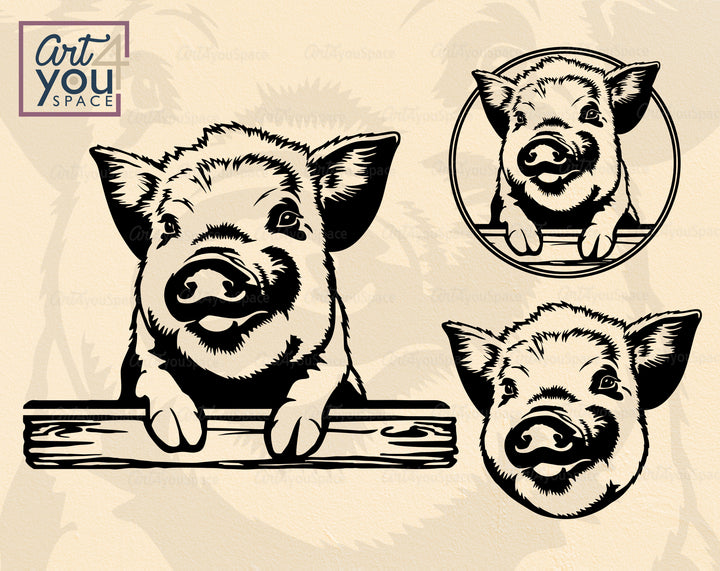 Kune-Kune Pig SVG