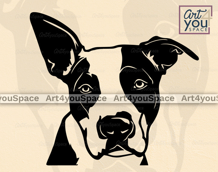 American Staffordshire Terrier Art