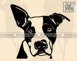 American Staffordshire Terrier Art