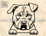 American Staffordshire Terrier Vector