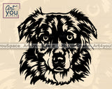 Australian Shepherd PNG