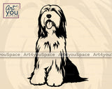Bearded Collie Art