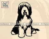 Bearded Collie PNG