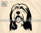 Bearded Collie Vector