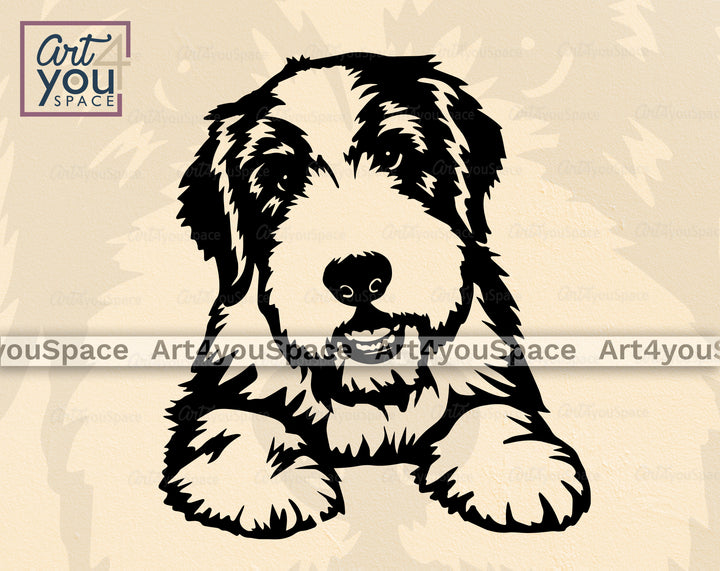 Bearded Collie PNG