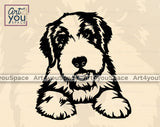 Bearded Collie PNG