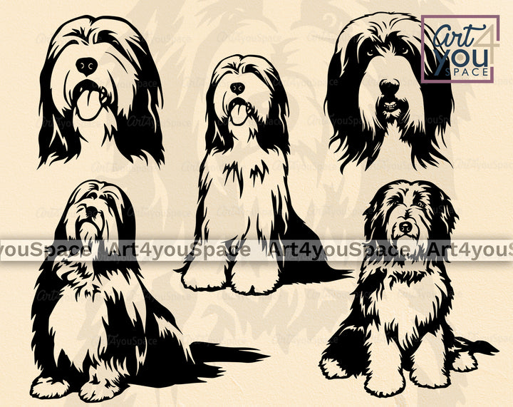Bearded Collie SVG