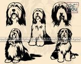 Bearded Collie SVG