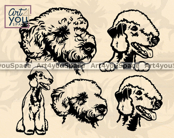 Bedlington Terrier SVG