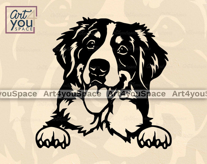 Bernese face with Paws png
