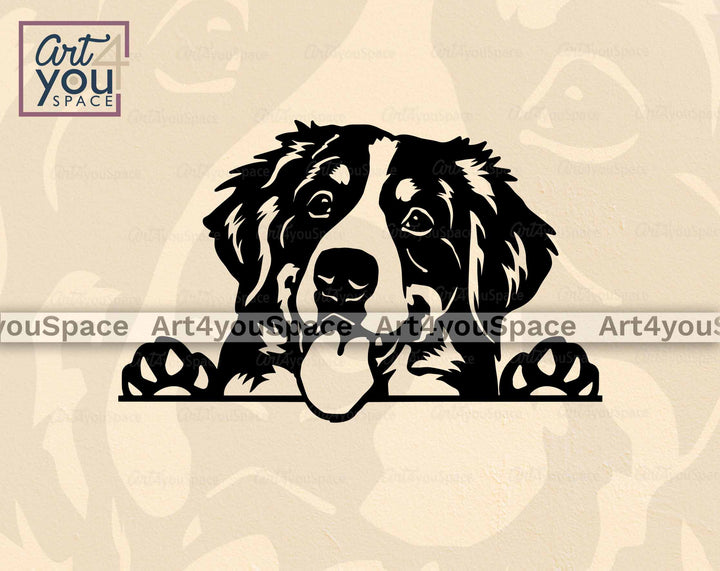 funny peeking Bernese Mountain Dog face with paws svg