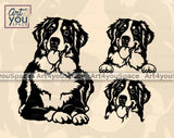 Bernese Mountain Dog svg