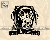 Black Labrador Art