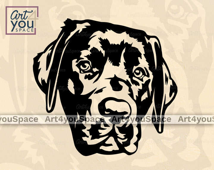 Black Labrador PNG