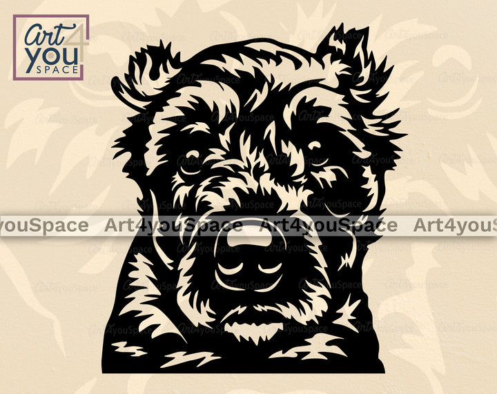 Bouvier Cut Ears  PNG