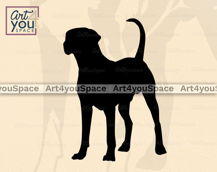 Catahoula Dog Vector