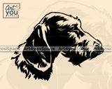 Dachshund Wirehaired Vector