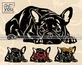 French Bulldog  SVG