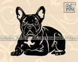 French Bulldog PNG