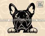 French Bulldog Vector