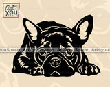 French Bulldog PNG