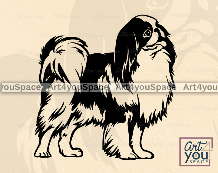 Japanese Chin Art